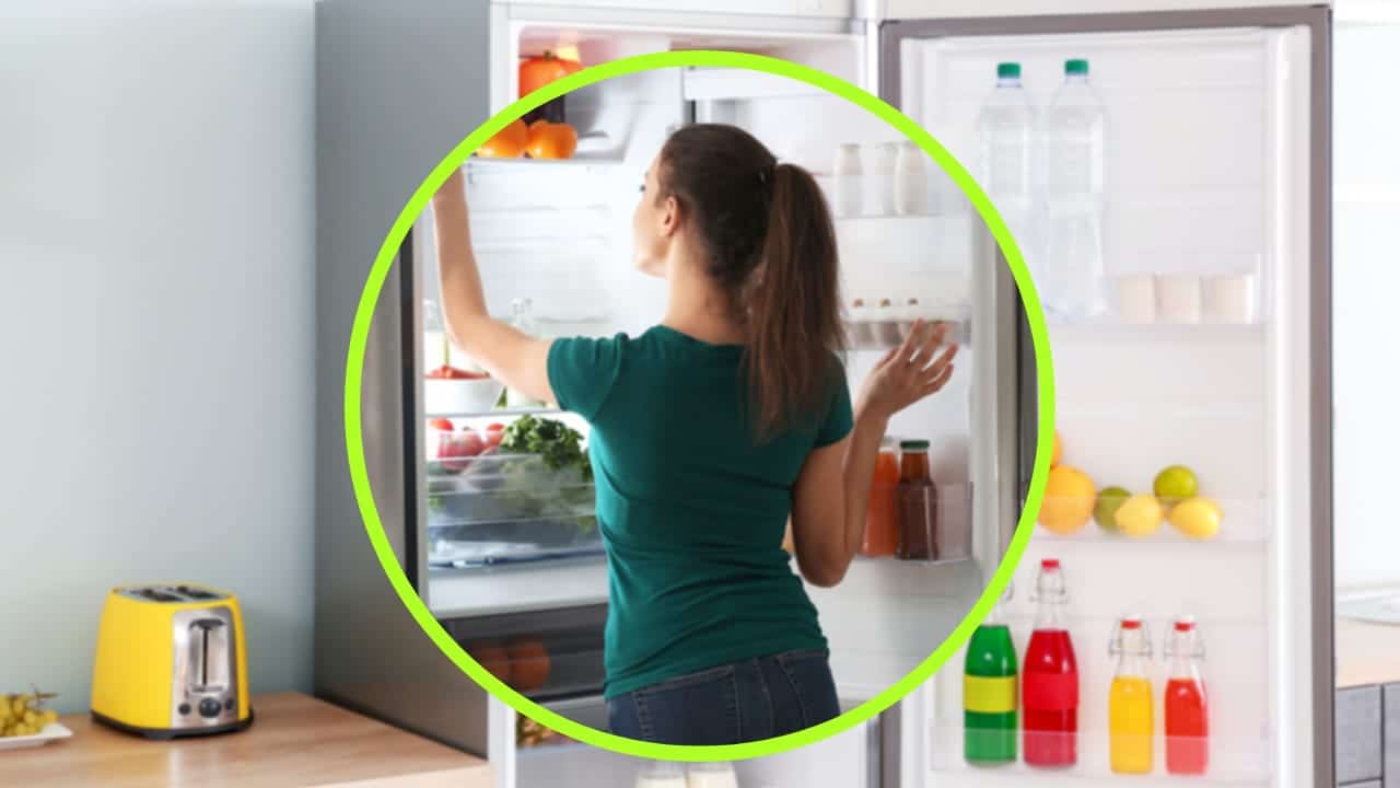 4 coisas em cima na geladeira