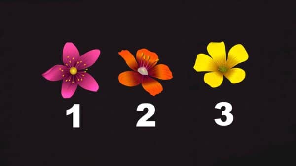 Teste: Está enfrentando um problema? A flor