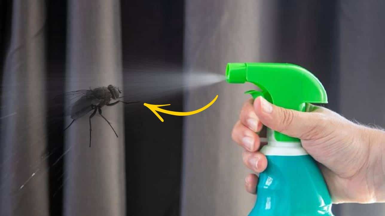 Afaste as moscas com um líquido especial