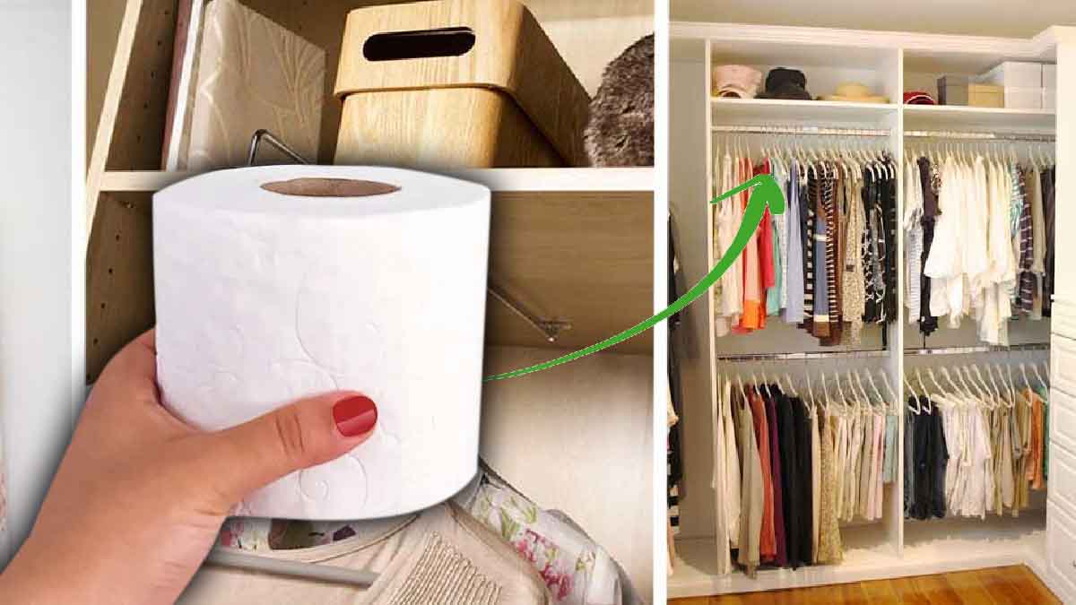 rolo de papel higiênico pode resolver no guarda-roupa