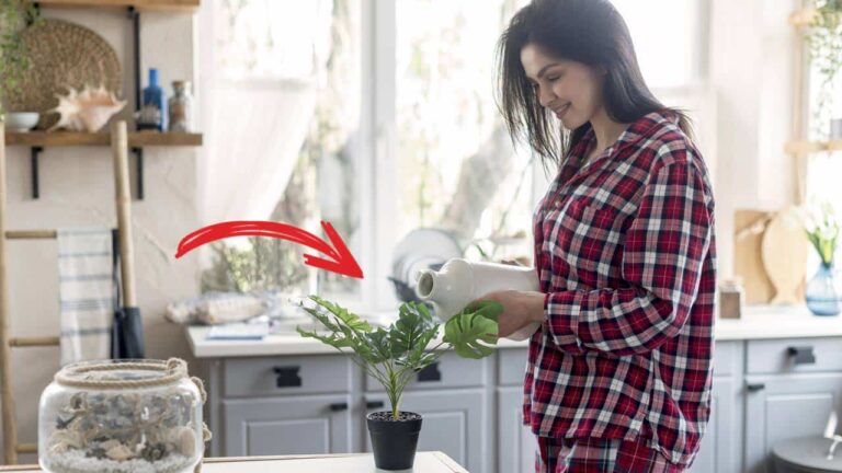 objetos da sua cozinha atrairão abundância