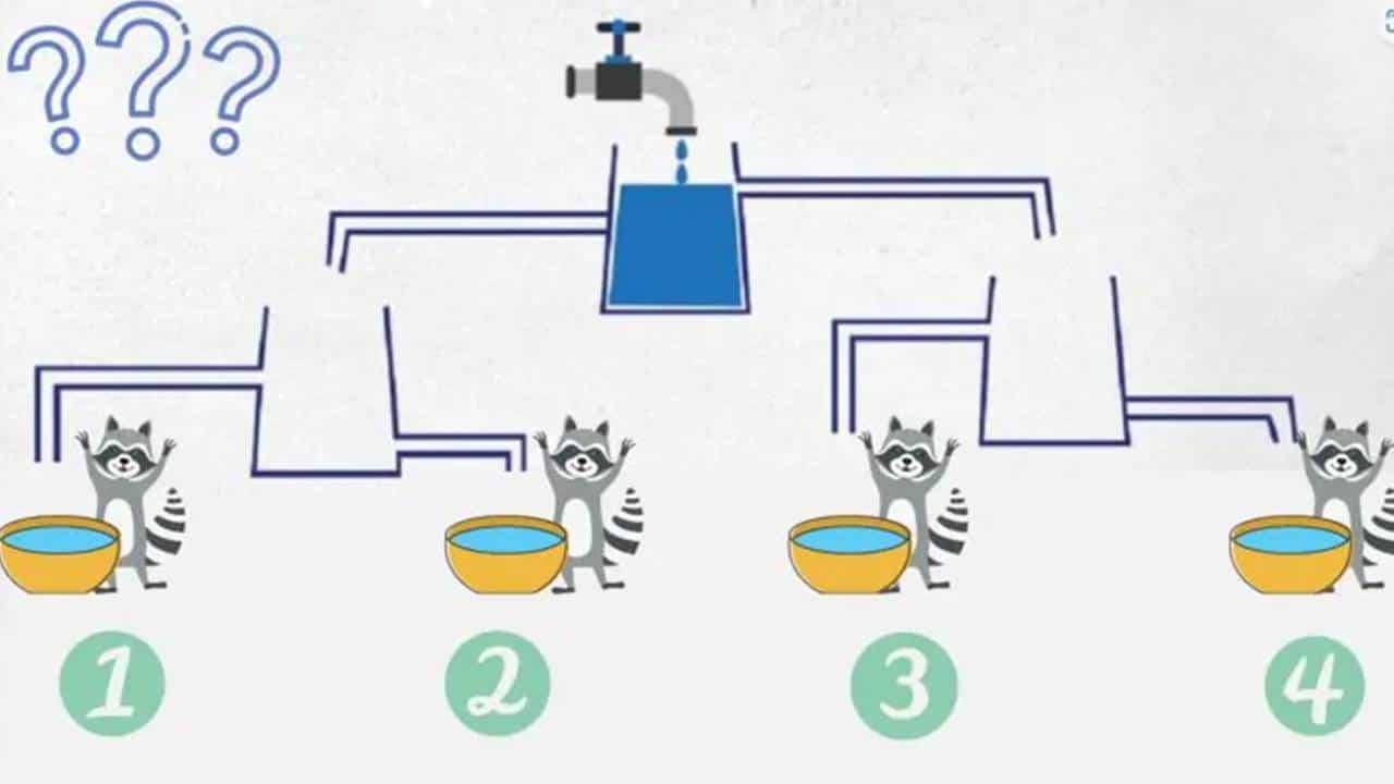 Teste de lógica: diga qual tigela vai encher de água