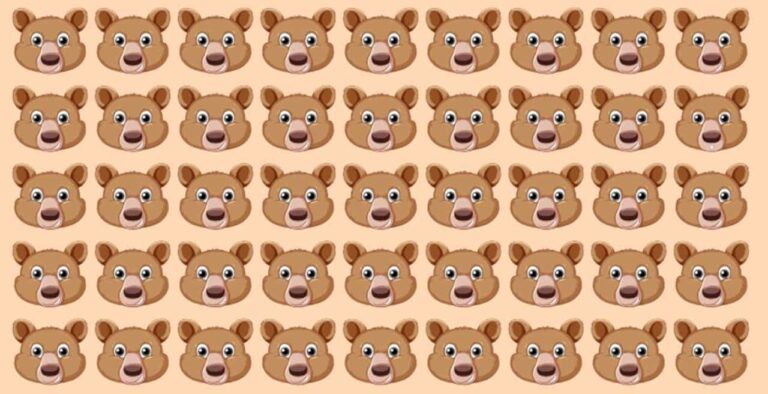 TESTE Encontre o urso diferente