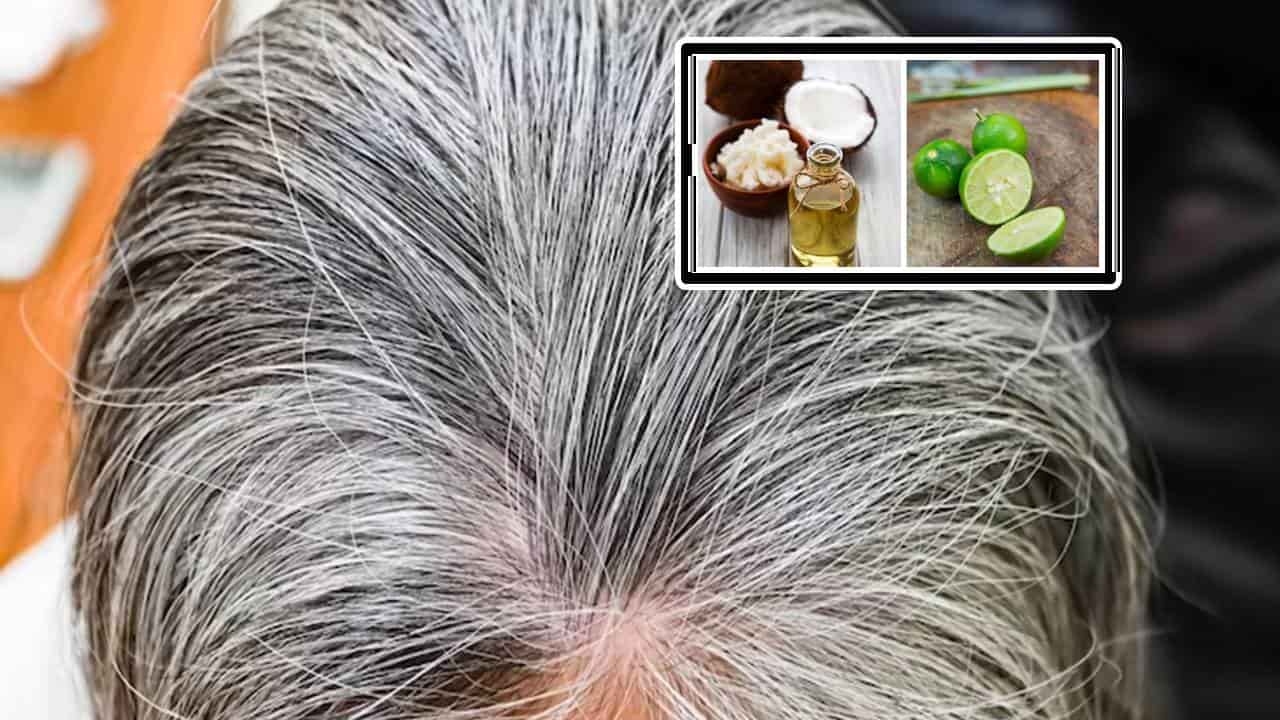 Como você deve usar óleo de coco com limão para cabelos grisalhos?