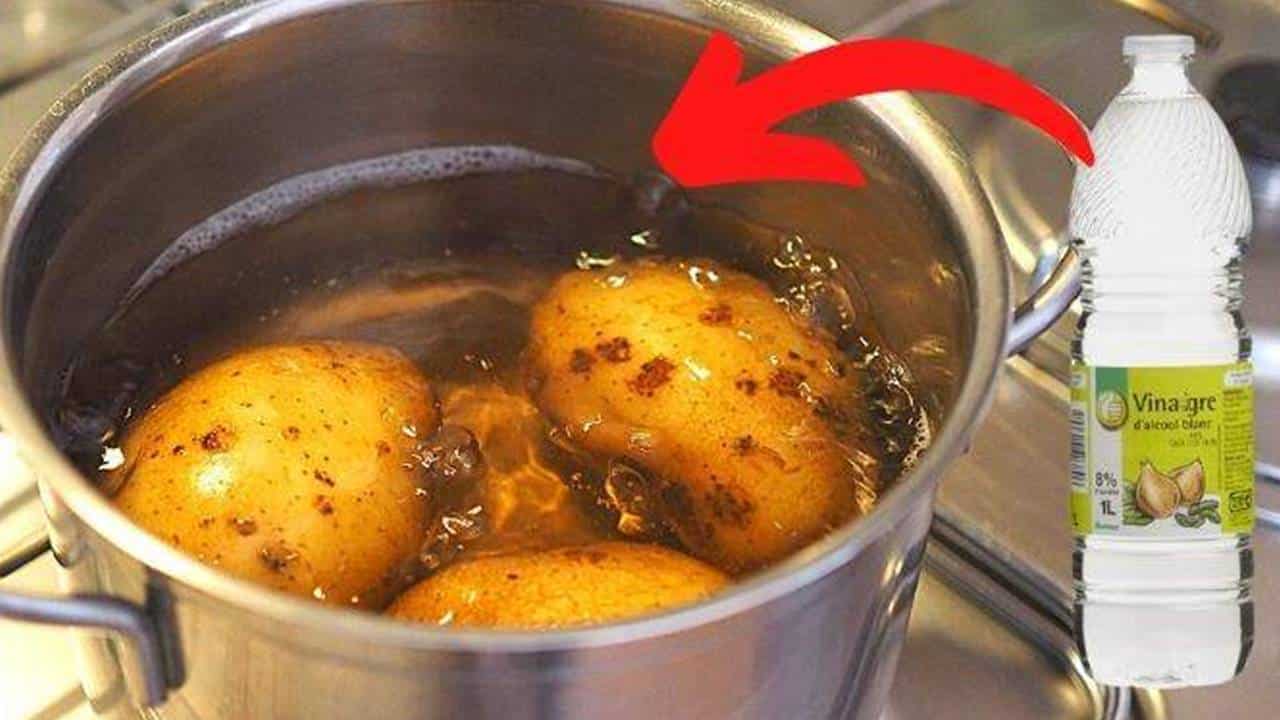 colocar vinagre na água de cozinhar batata?