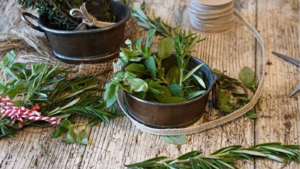 3 plantas ter na cozinha antes do Natal prosperidade