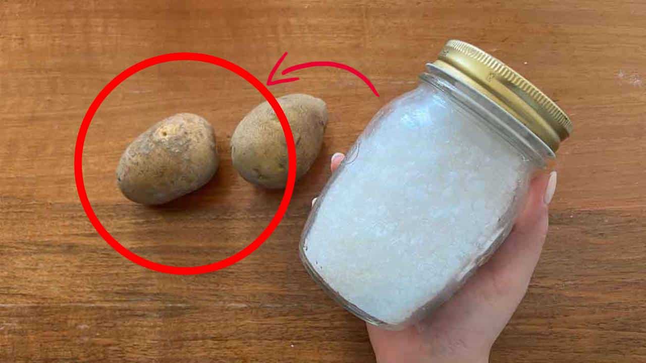 Batata e sal: a mistura preferida das nossas avós