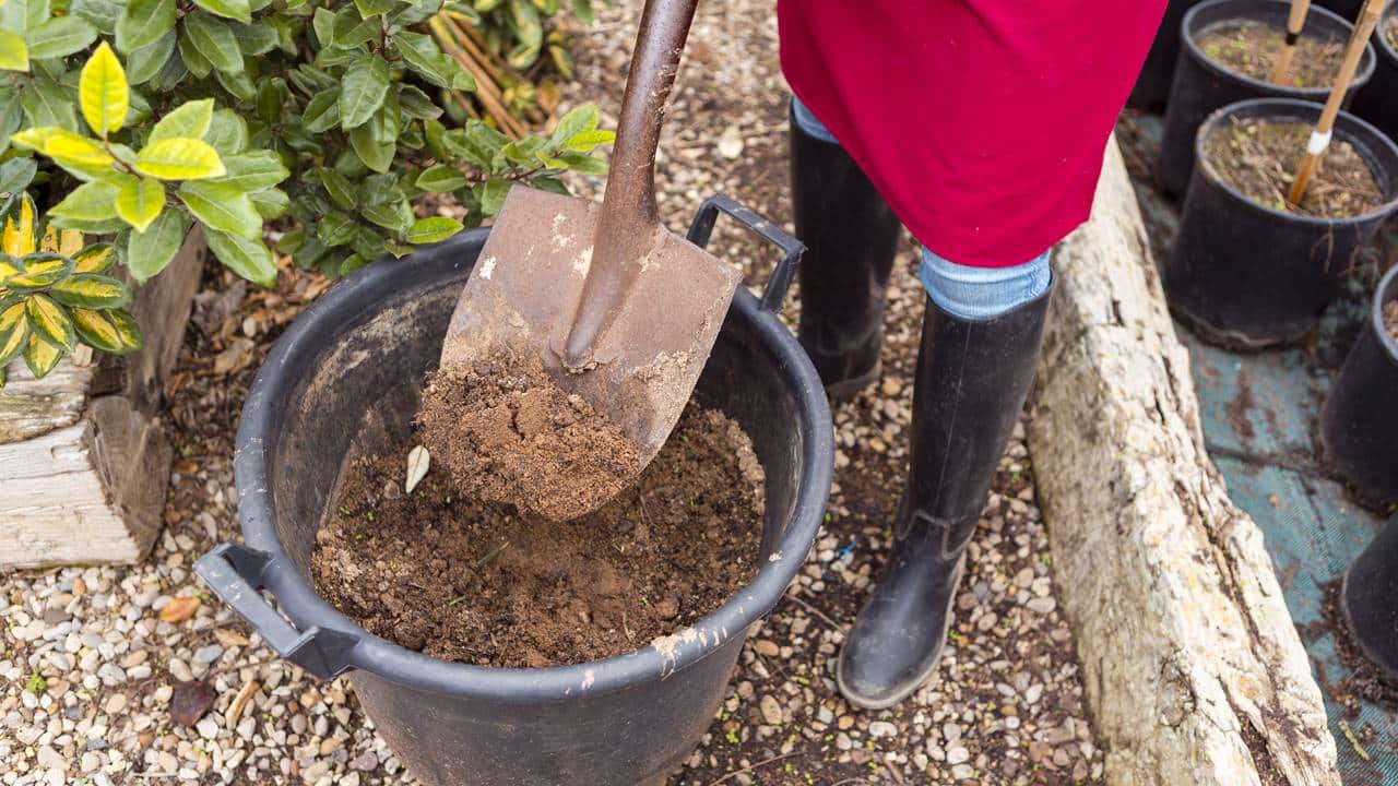 Fertilizante suas arvores frutíferas produção de frutos