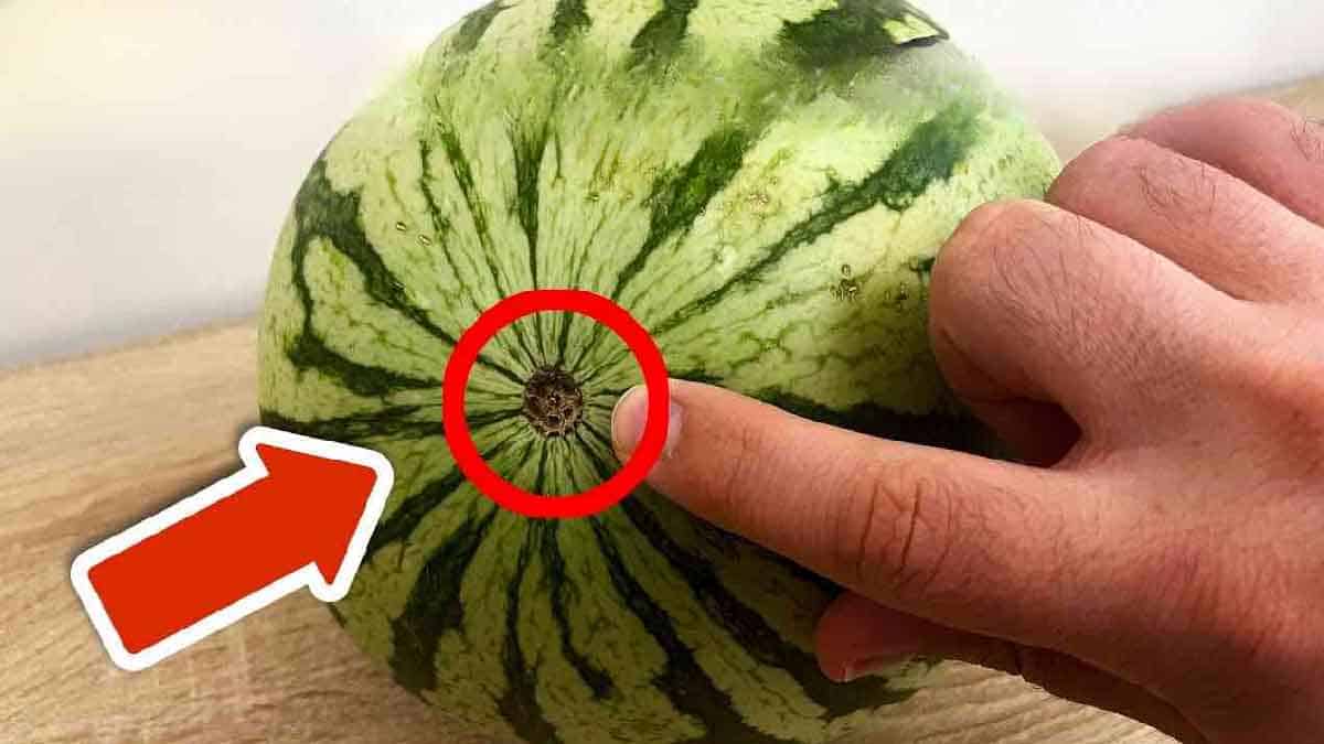Preste atenção nesse detalhe da melancia