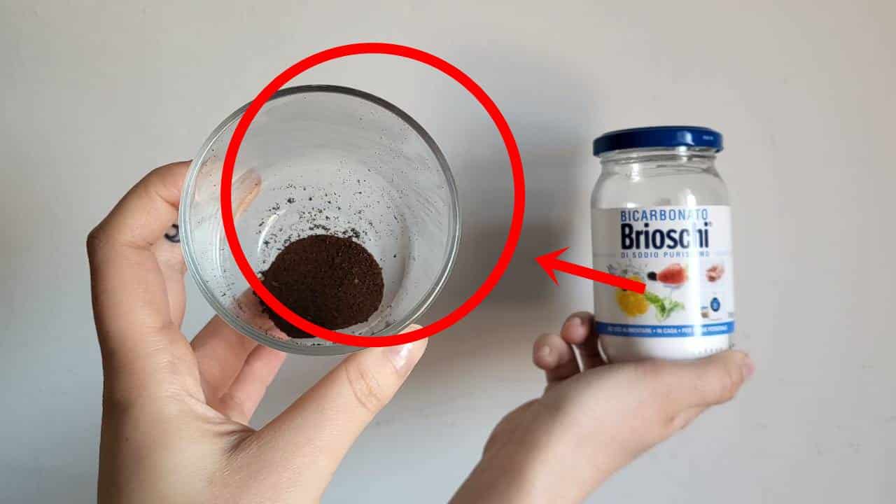 Misture pó de café e bicarbonato