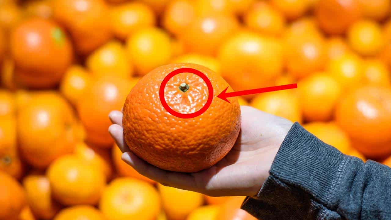 escolher laranjas doces é simplesmente