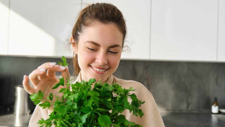 colocar salsa em casa para atrair dinheiro