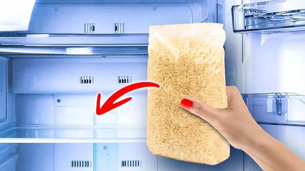 necessário colocar o arroz na geladeira?