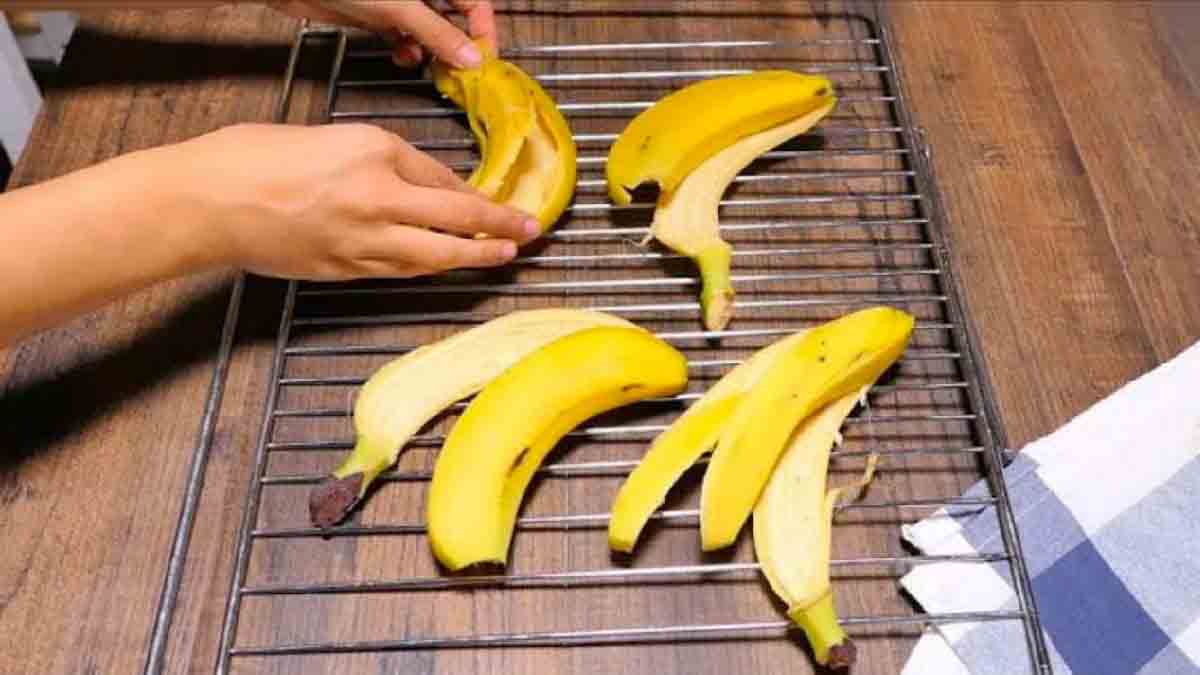 colocar cascas de banana ao forno?