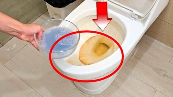 limpar o banheiro seu vaso sanitário