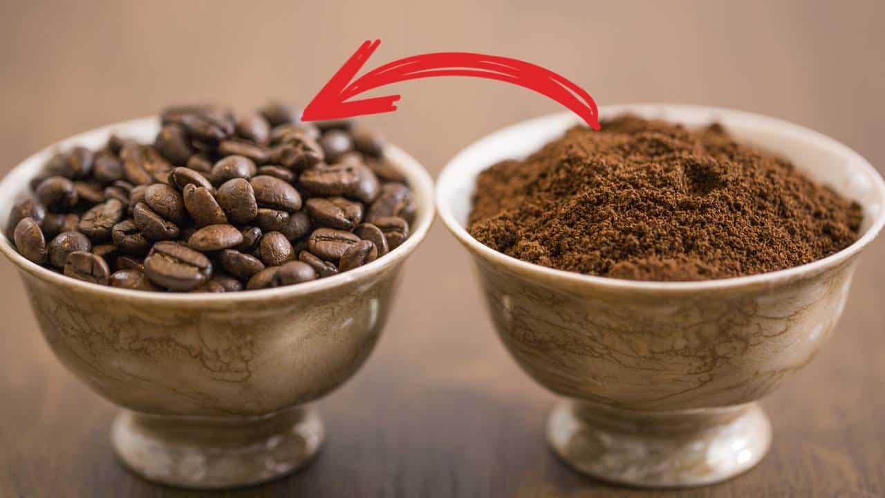 boas razões escolher café em grão café moído