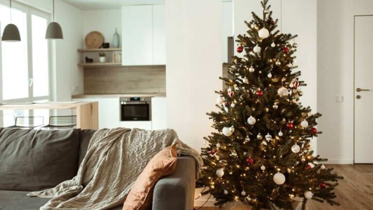 Onde colocar a Árvore de Natal para atrair boas energias?