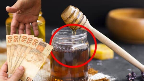 Onde colocar o mel para atrair DINHEIRO