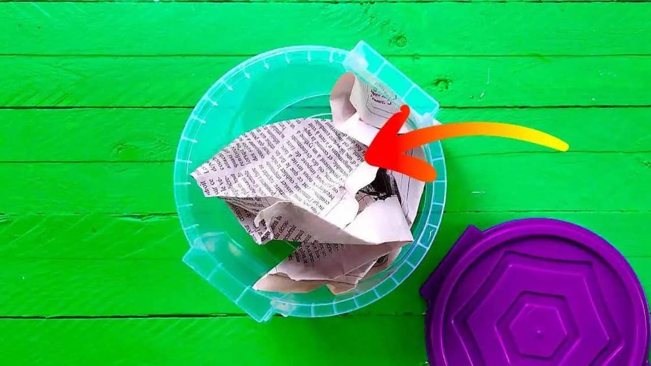 Adicione 1 folha de jornal a um recipiente de plástico