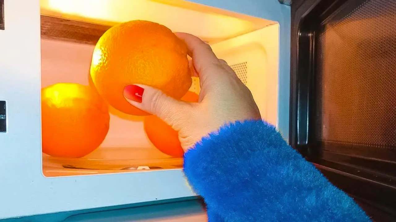 colocando laranjas no micro-ondas antes de descascá-las