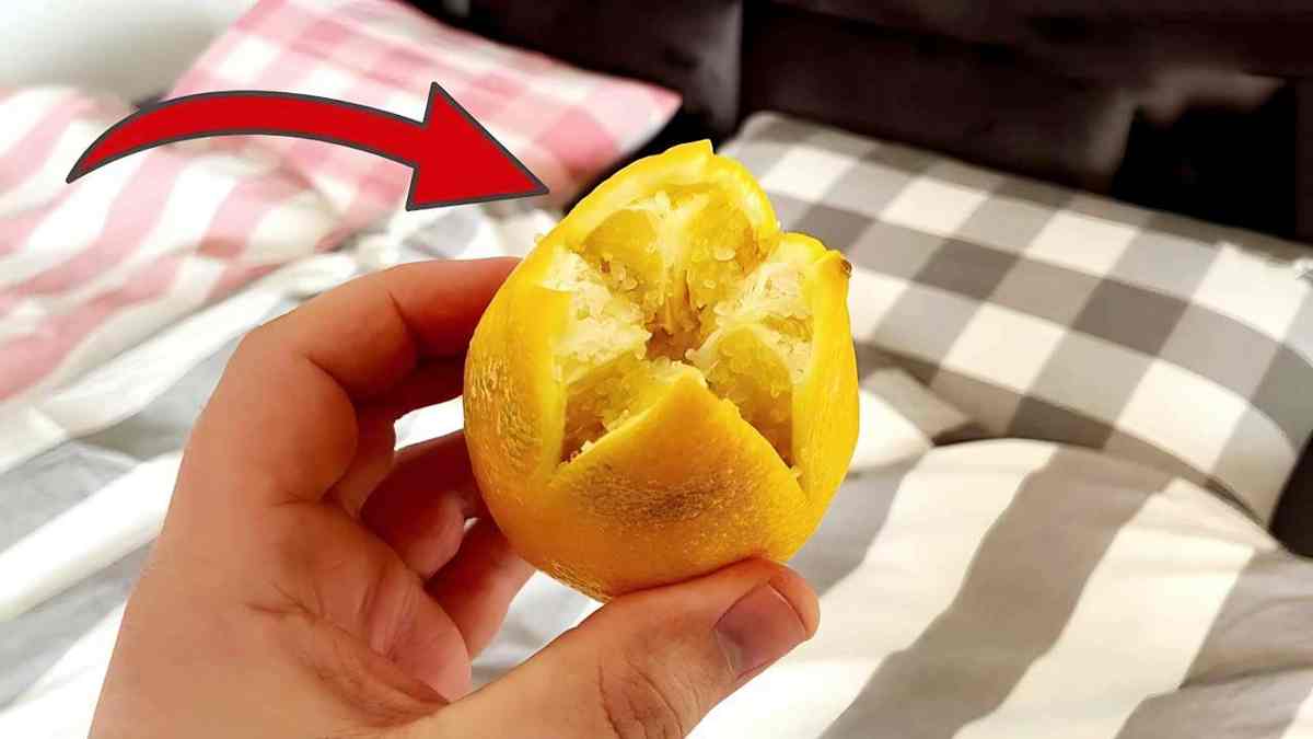 limão na cabeceira da cama antes de dormir?
