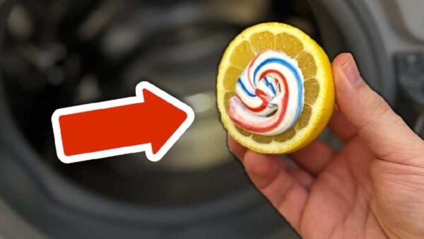  limão com pasta de dente na máquina de lavar