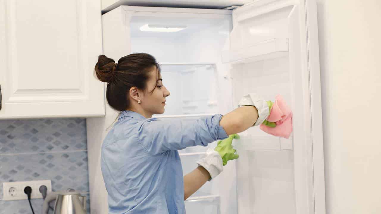 limpador caseiro para a GELADEIRA