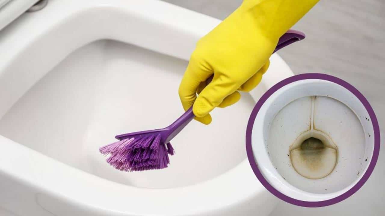 remover a mancha amarela do vaso sanitário