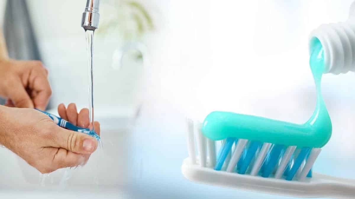 molhar a escova antes de aplicar a pasta de dente?