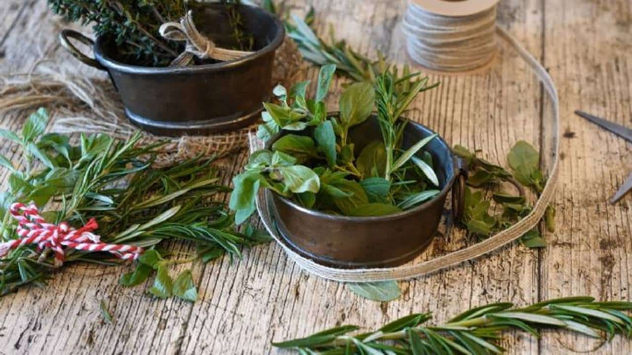 plantas para cozinha e ATRAIR PROSPERIDADE