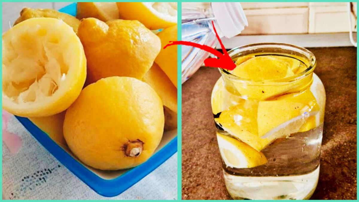 Como reutilizar limão espremido