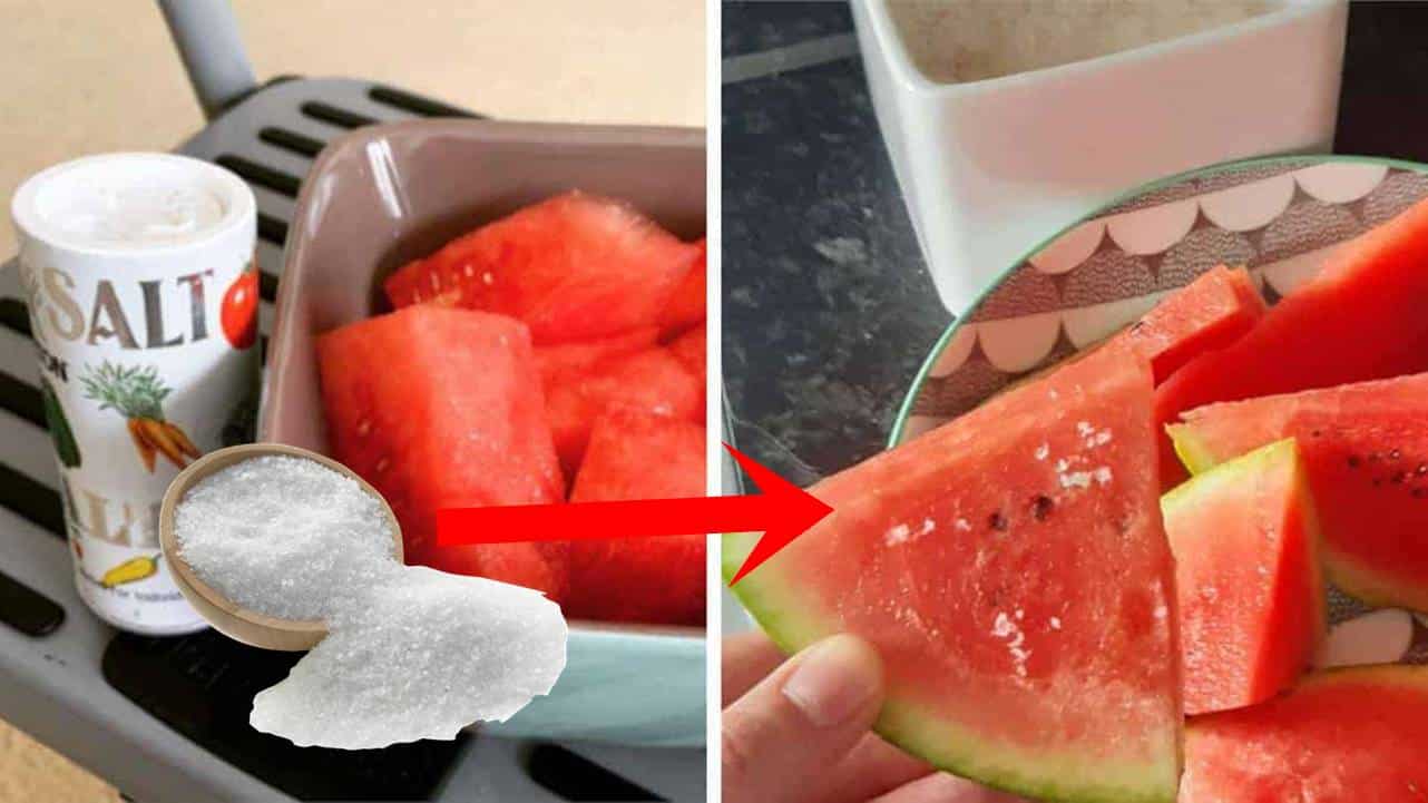 Por que polvilhar sal na melancia?