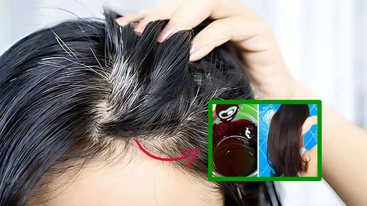 shampoo natural para cobrir cabelos grisalhos em pouco tempo