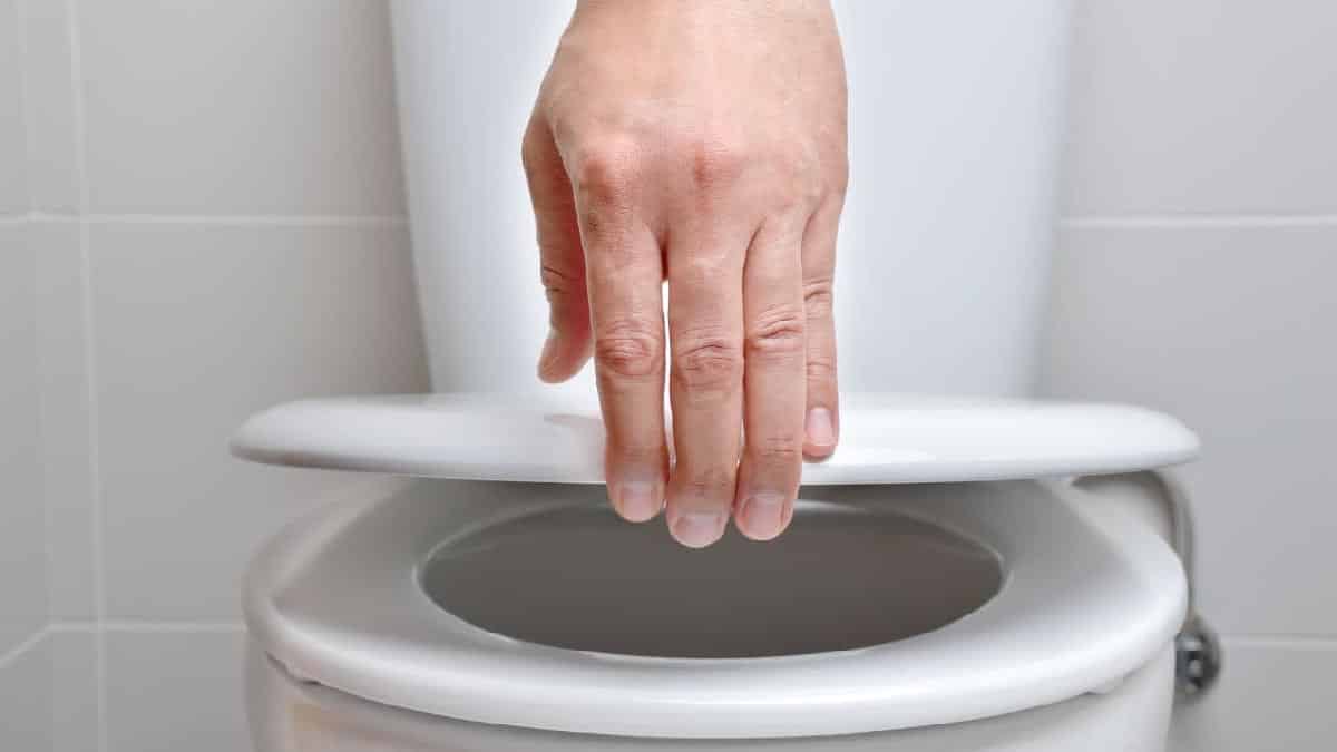 Motivos você sempre manter a tampa do vaso sanitário fechados