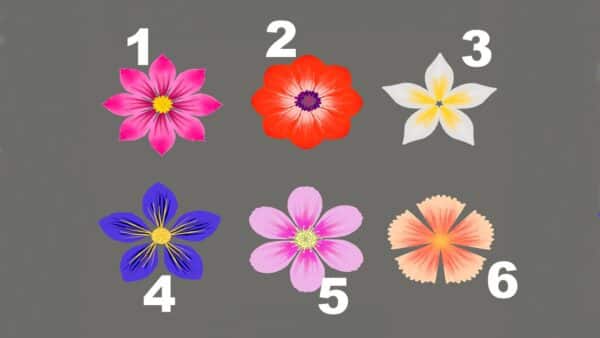 Teste Supremo: Escolha 1 flor descubra