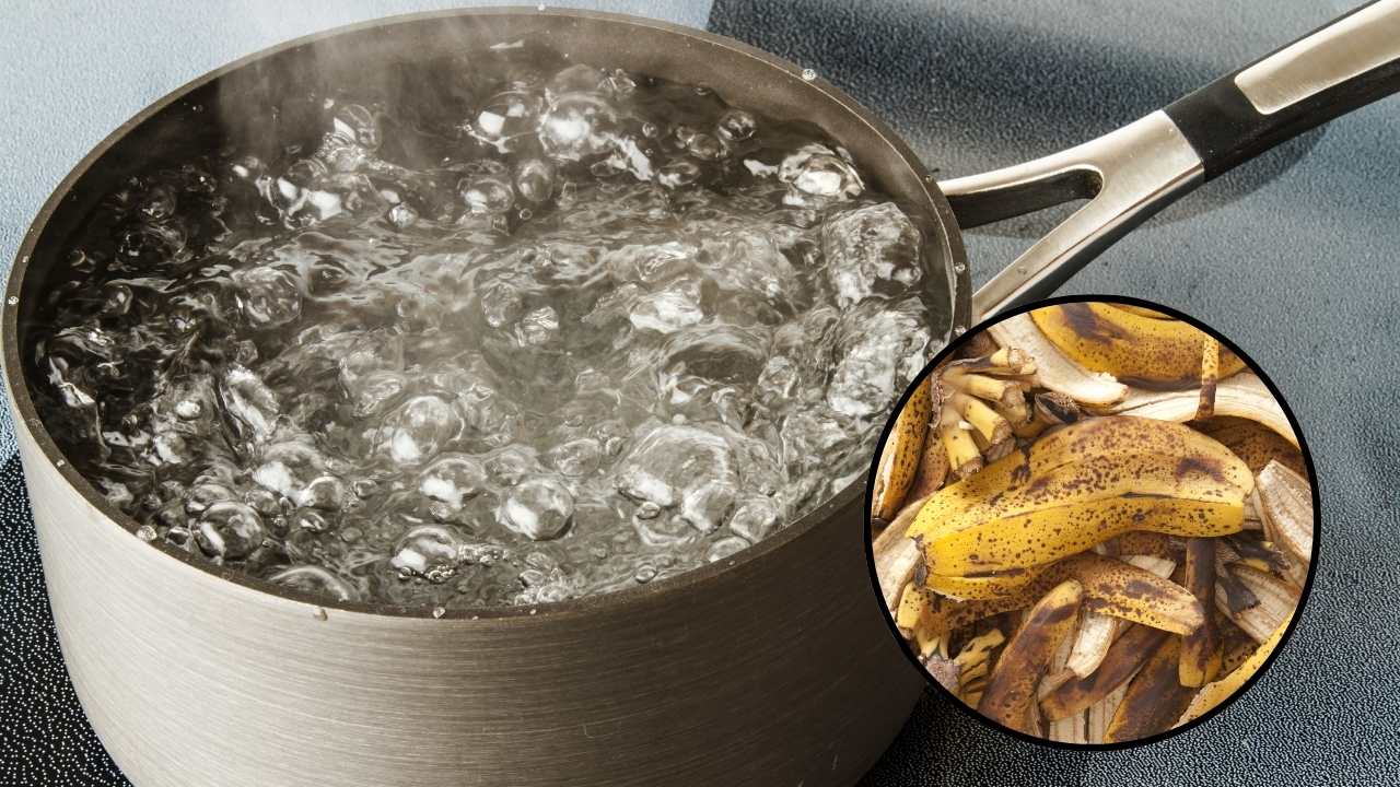 casca da banana em água fervente