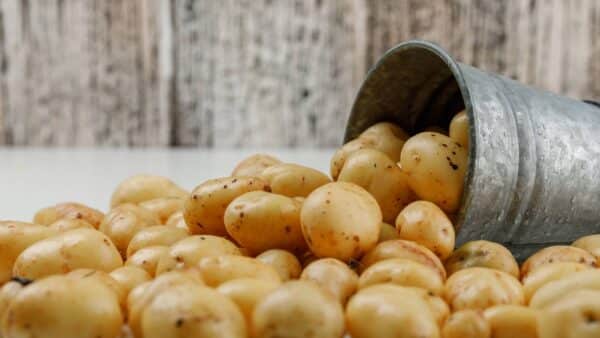 Truques de limpeza incomuns com batatas que você deveriaconhecer