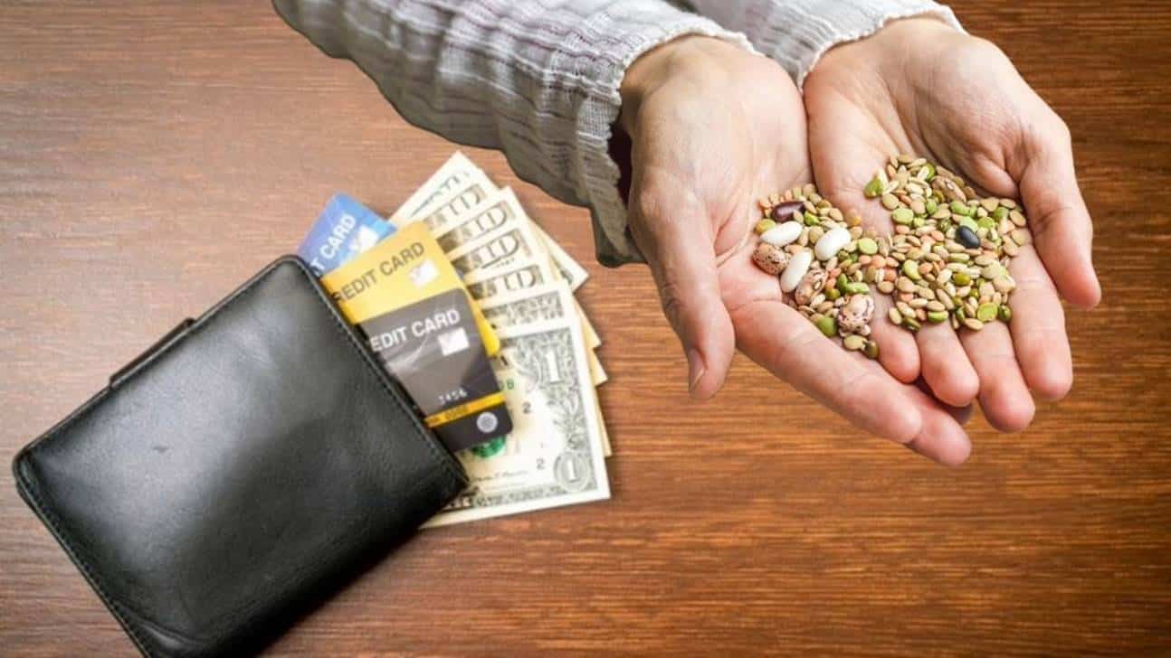 sementes na bolsa ou carteira dinheiro