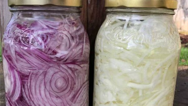 Cebola fermentada: você já experimentou