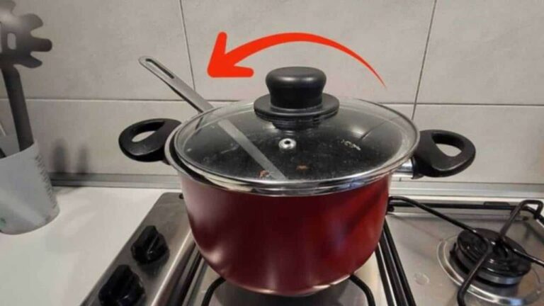Nunca deixe a concha na panela