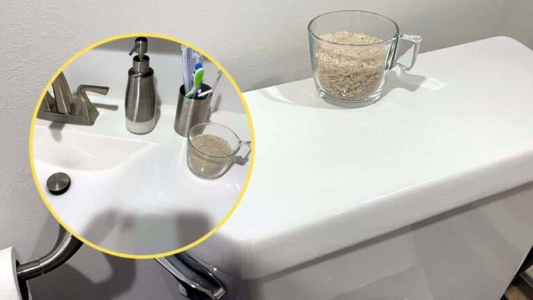 banheiro e cozinha terão um cheiro