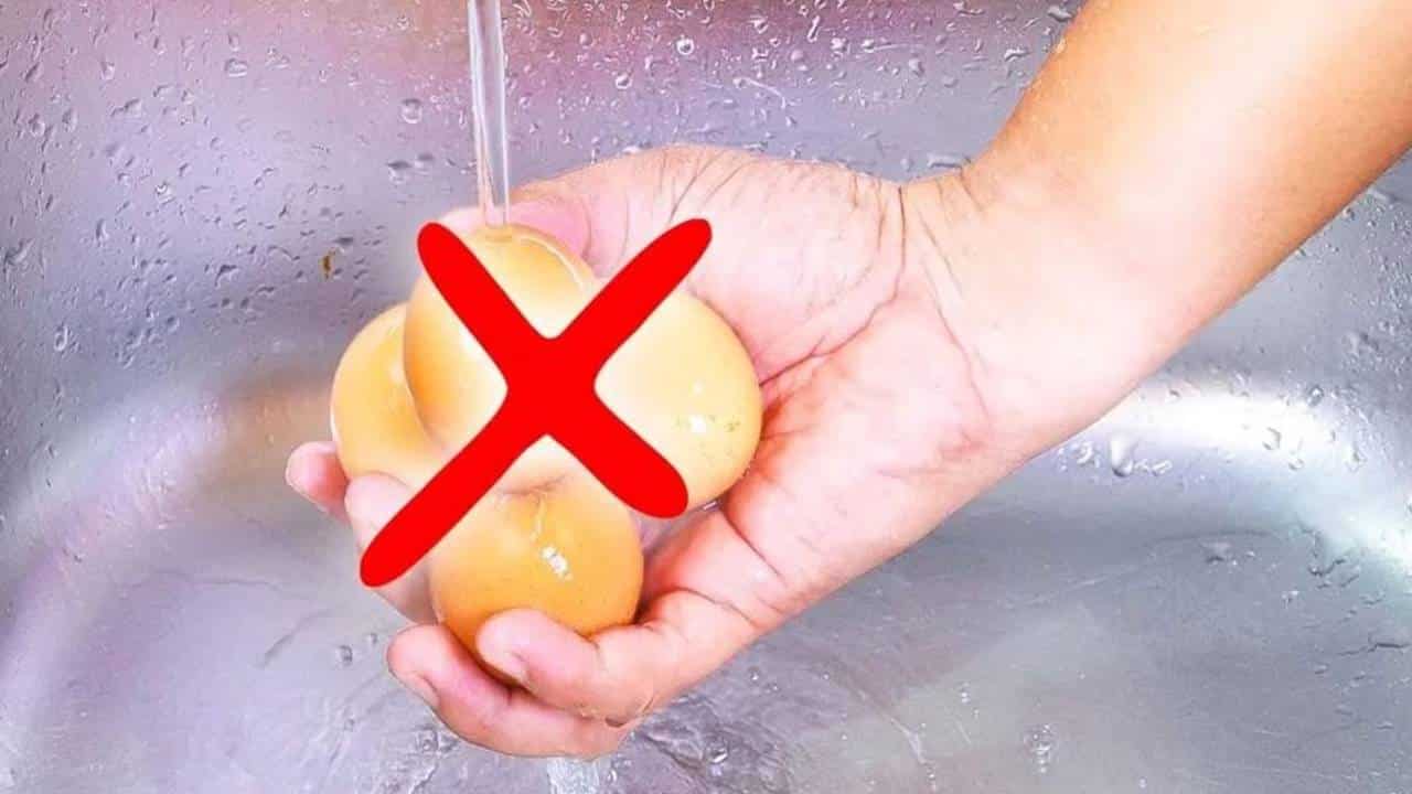 nunca deve lavar ovos?