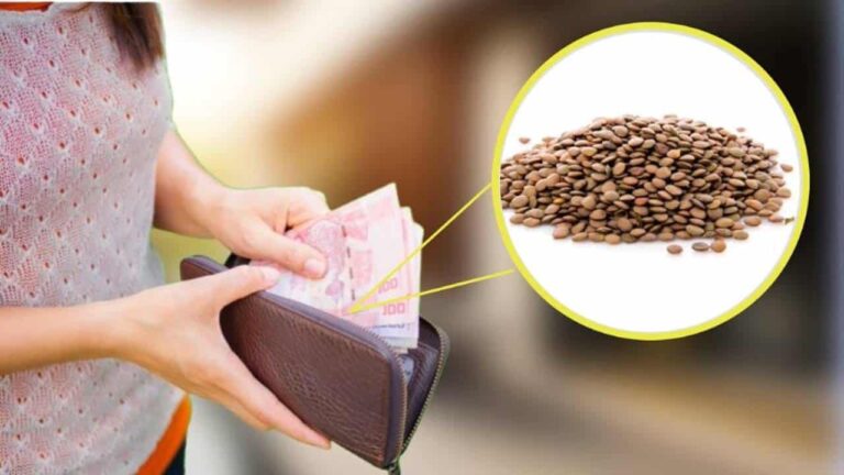 Lentilhas na bolsa para atrair dinheiro