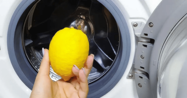 Máquina de lavar limpa e cheirosa com ingredientes da cozinha