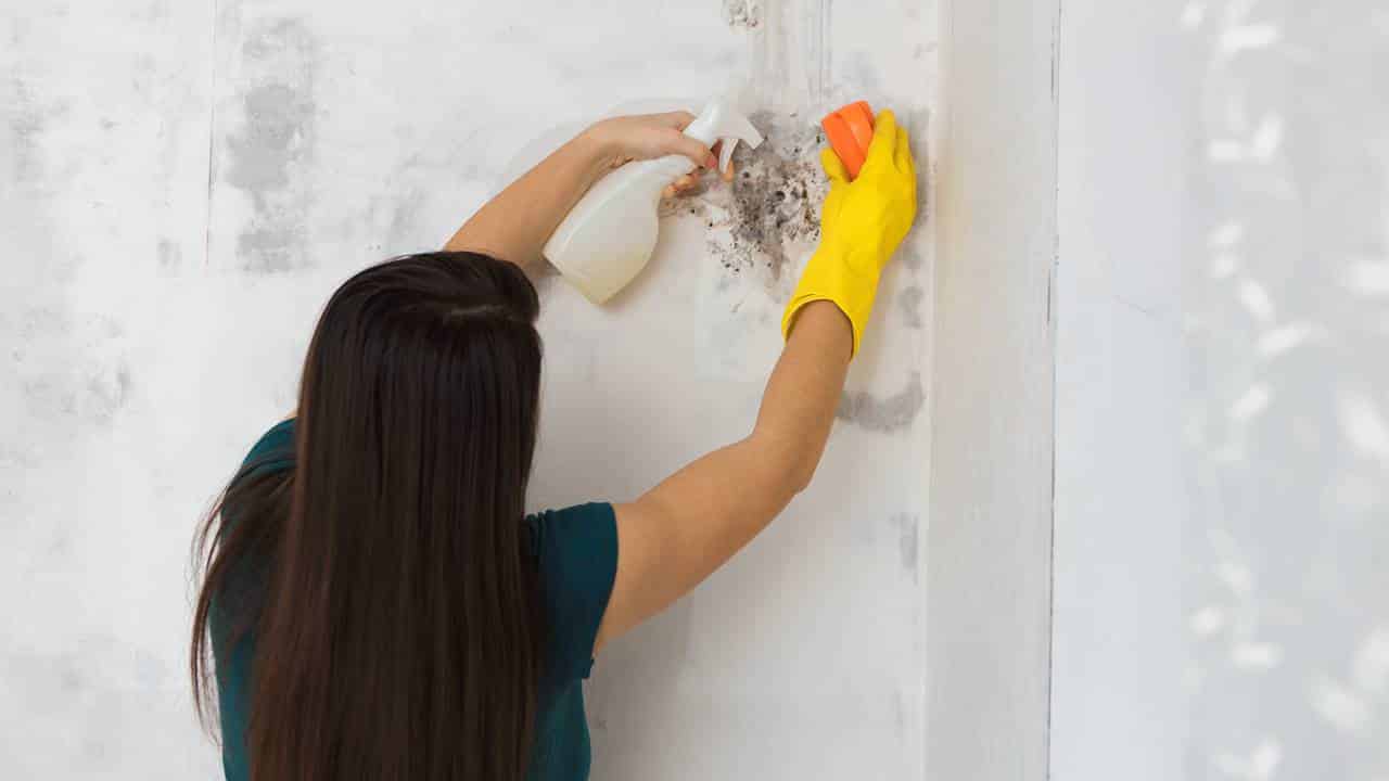 Guia para limpar paredes