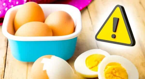 ovos cozidos podem ser armazenados?