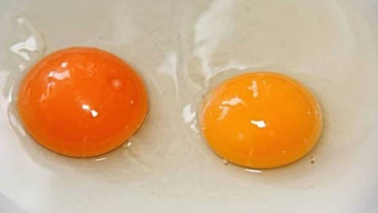 Apenas um dos dois é o ovo fresco: