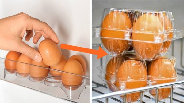 armazenar os ovos na geladeira ou fora!