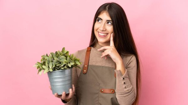 plantas no seu banheiro e os maus odores