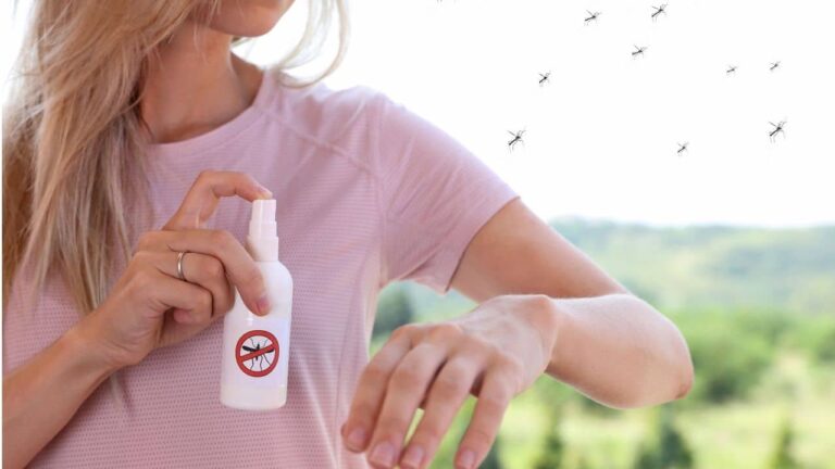 3 repelentes naturais de mosquitos para usar em casa